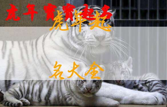 屬虎鄒姓寶寶起名大全
