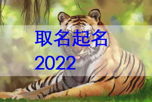 屬虎姓顧寶寶起名大全