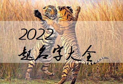 屬虎陶姓寶寶起名大全