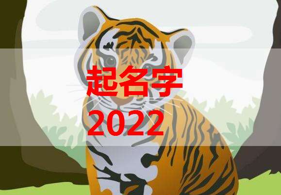 屬虎柴姓寶寶起名大全