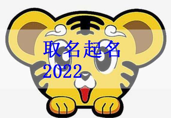 屬虎姓趙寶寶起名大全