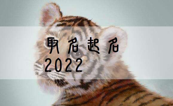 屬虎姓顧寶寶起名大全