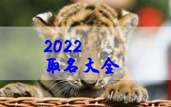 屬虎寶寶起名大全