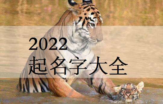屬虎姓羅寶寶起名大全