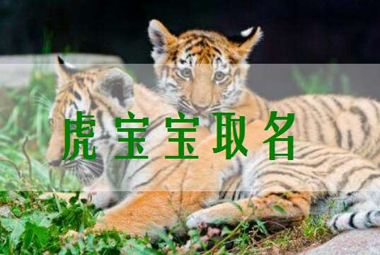 屬虎寶寶起名大全