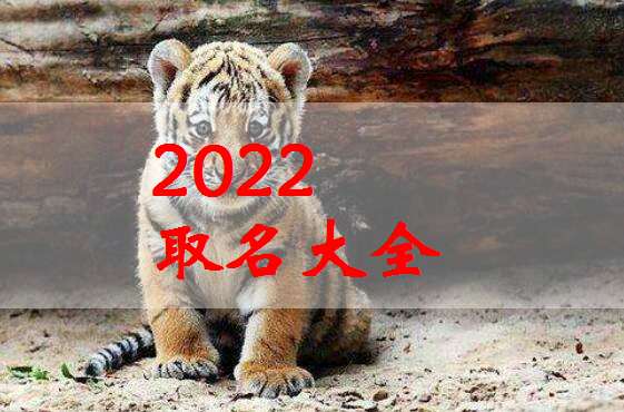 屬虎孫姓寶寶起名大全