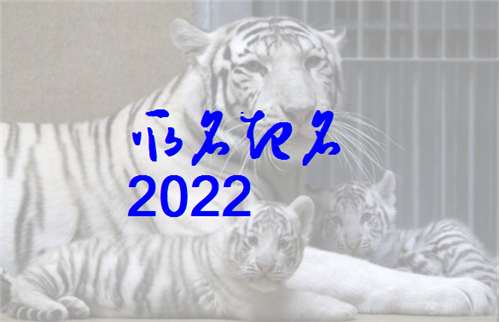 屬虎范姓寶寶起名大全