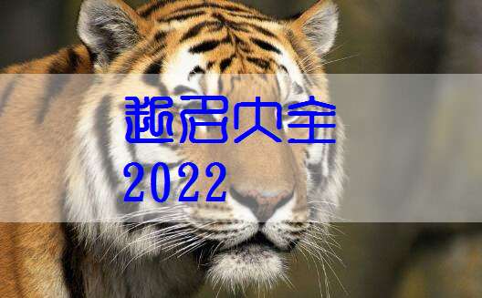 屬虎姓葉寶寶起名大全