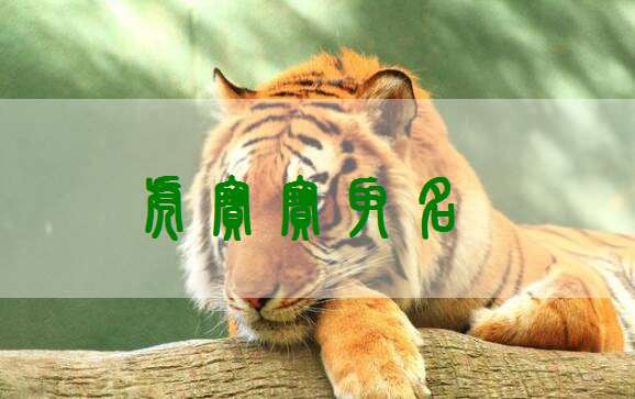 屬虎嚴姓寶寶起名大全