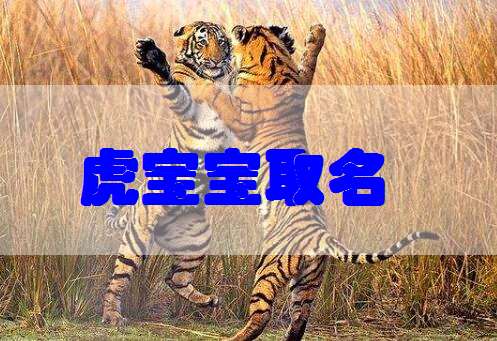 屬虎盧姓寶寶起名大全
