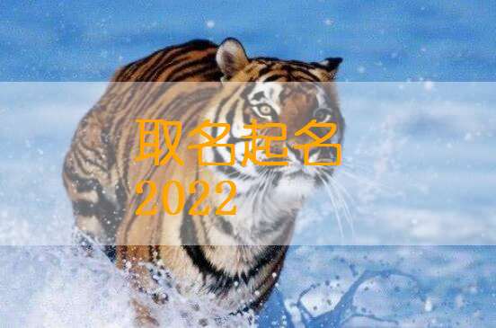 屬虎姓熊寶寶起名大全