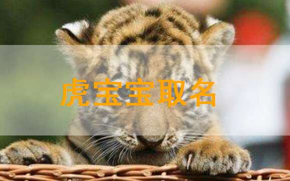 屬虎寶寶起名大全