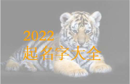 屬虎姓顧寶寶起名大全