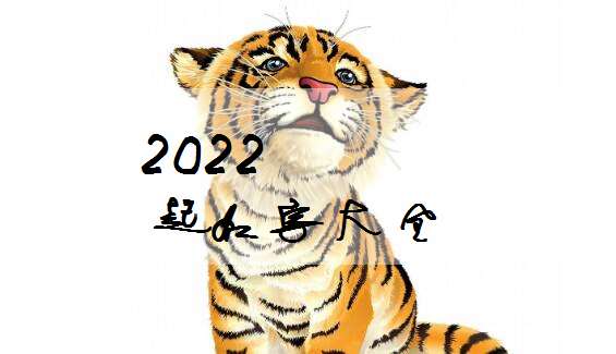 屬虎姓施寶寶起名大全