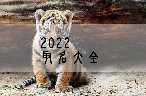 屬虎姓方寶寶起名大全