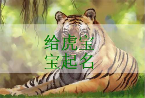 屬虎盧姓寶寶起名大全
