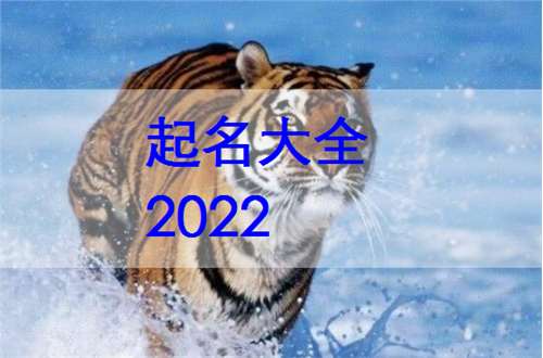 屬虎姓傅寶寶起名大全