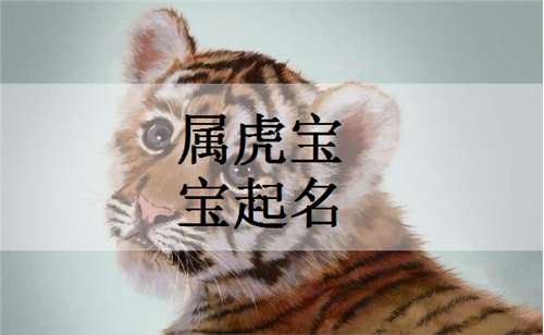 屬虎柳姓寶寶起名大全