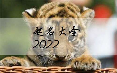 屬虎寶寶起名大全