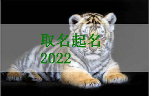 屬虎寶寶起名大全