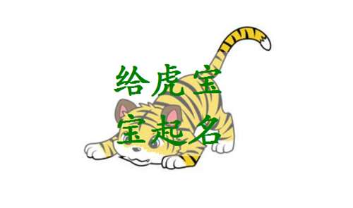 屬虎姓金寶寶起名大全