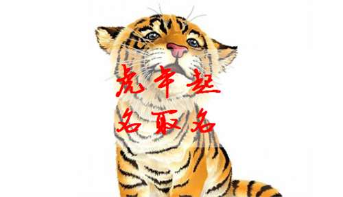屬虎錢姓寶寶起名大全
