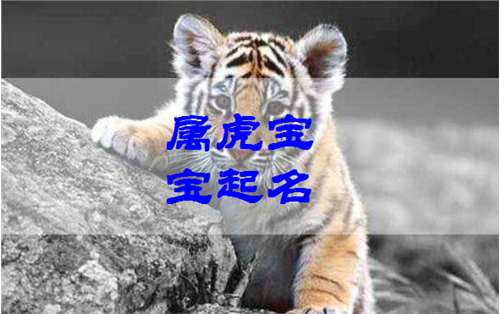 屬虎姓羅寶寶起名大全