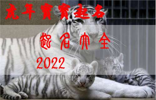 屬虎姓徐寶寶起名大全