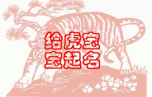 屬虎姓陶寶寶起名大全