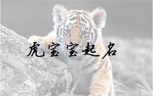 屬虎寶寶起名大全