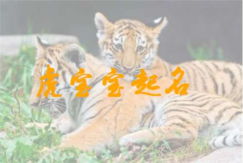 屬虎姓傅寶寶起名大全