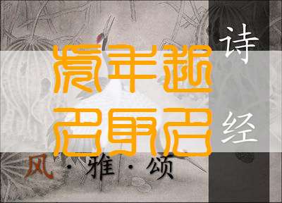 屬虎姓廖寶寶起名大全
