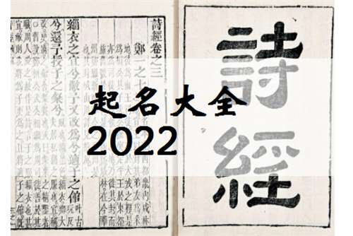 屬虎姓潘寶寶起名大全