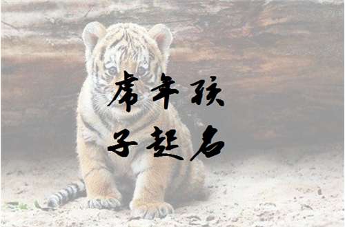 屬虎寶寶起名大全