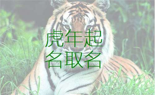 屬虎寶寶起名大全