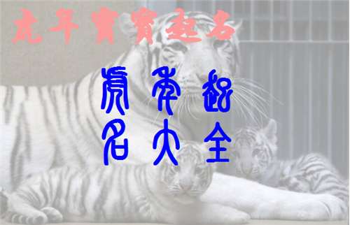 屬虎寶寶起名大全