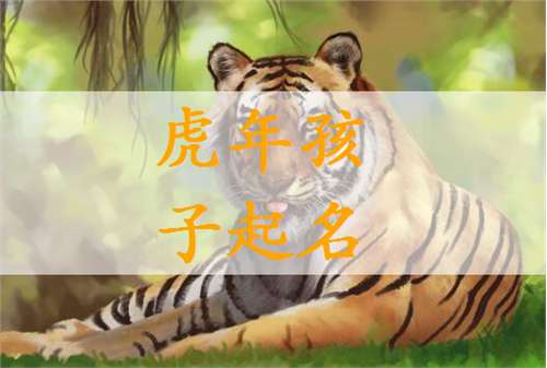 屬虎伍姓寶寶起名大全