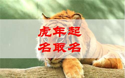 屬虎傅姓寶寶起名大全