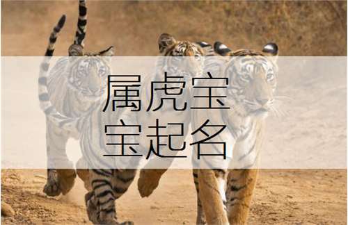 屬虎湯姓寶寶起名大全