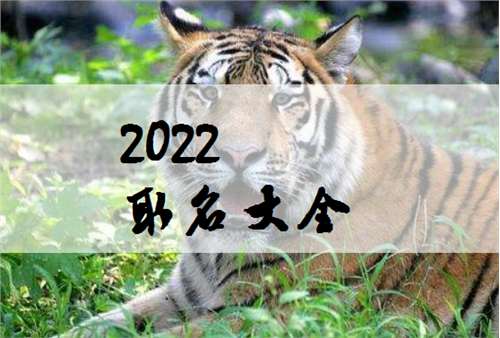 屬虎姓金寶寶起名大全