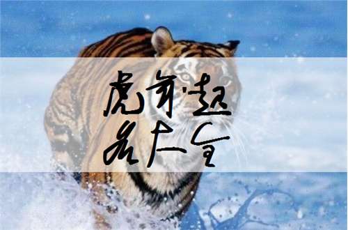 屬虎寶寶起名大全