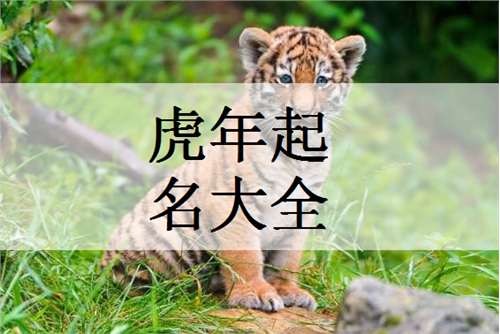 屬虎寶寶起名大全