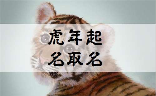 屬虎姓程寶寶起名大全