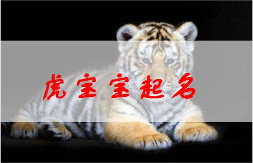 屬虎姓侯寶寶起名大全