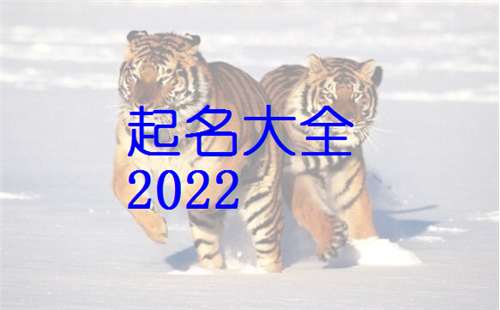 屬虎寶寶起名大全