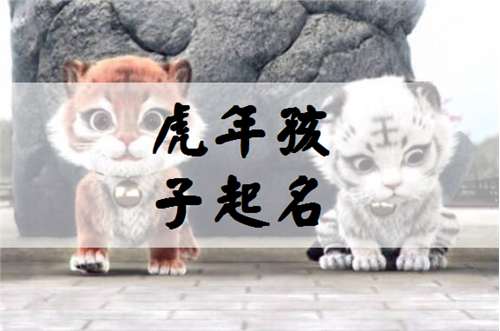 屬虎雷姓寶寶起名大全