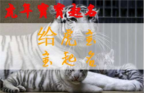 屬虎寶寶起名大全