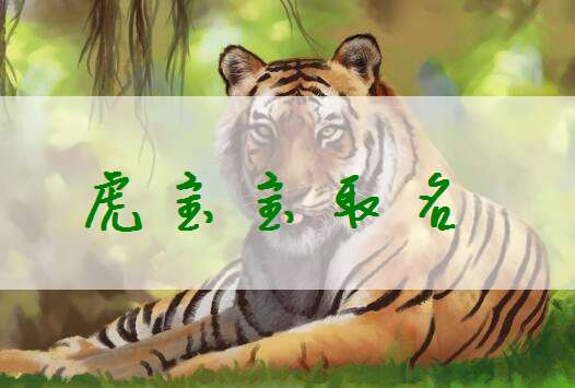 屬虎姓胡寶寶起名大全