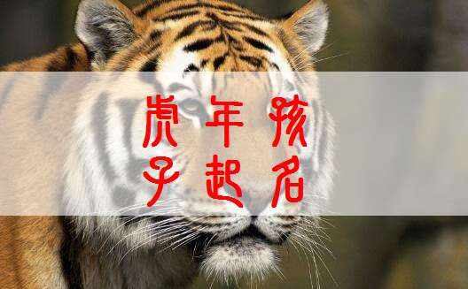 屬虎吳姓寶寶起名大全