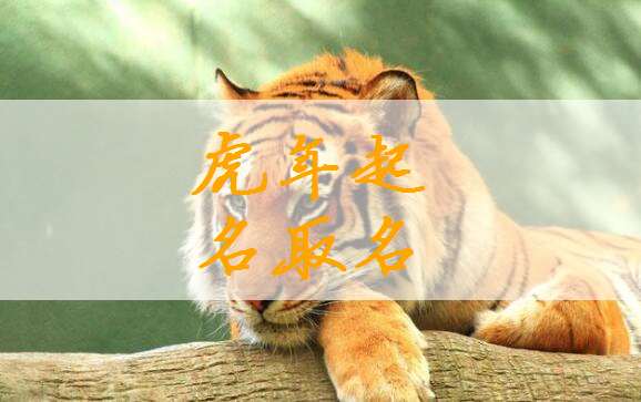 屬虎陳姓寶寶起名大全